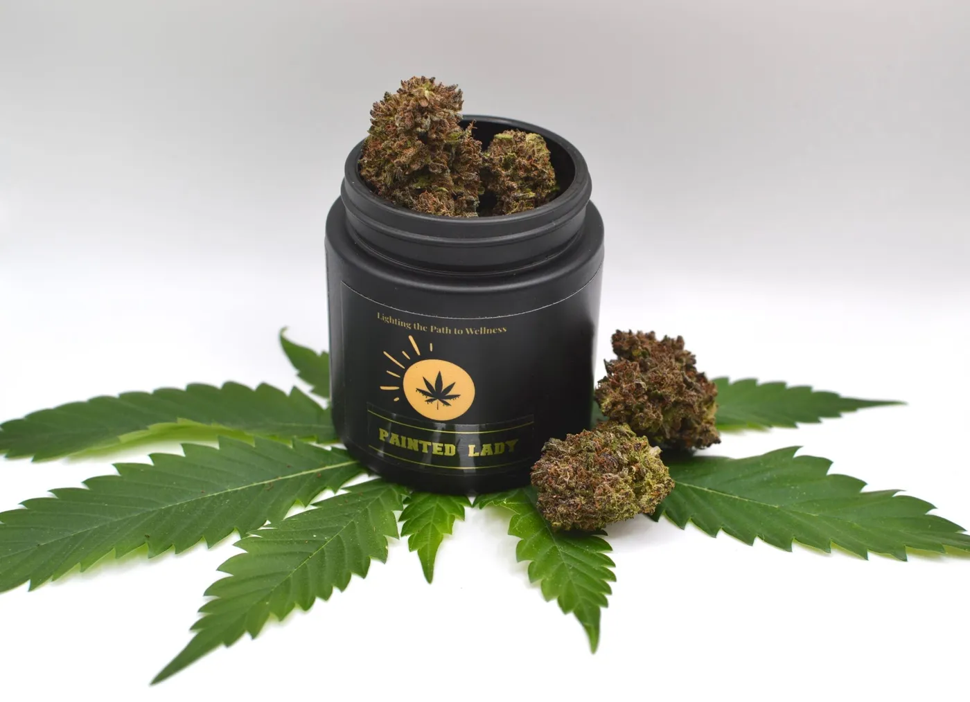 CBD Kush Auto Ensures the Best in Medicinal Marijuana from Green Leaf Store EU