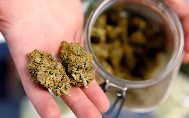 Online Marijuana UK: Legal and Medical Considerations